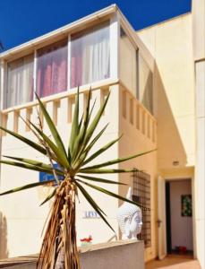 un palmier devant un bâtiment dans l'établissement Flamingo Vila Alicante, à San Pedro del Pinatar