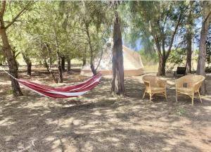 a hammock and chairs in a field with a tent at Glamping on Organic Yoga Farm with Natural Swimming Pool near Beach in Moncarapacho