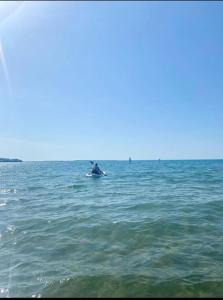 a person in the ocean on a paddle board at Studio 61 fremington near instow in Fremington