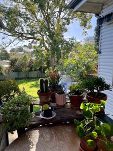 Zahrada ubytování COMFORT QUEEN GARDEN VIEW ROOM MACQUARIE PARK RYDE