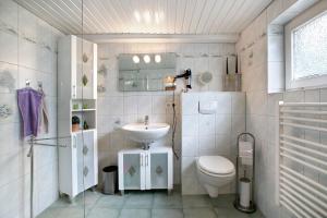 a bathroom with a sink and a toilet at Ferienhaus Bruhn in Flensburg +18 photos