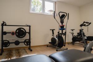 Fitness centrum a/nebo fitness zařízení v ubytování Hotel Canarino