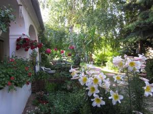 A garden outside Bozsoki Pihenő