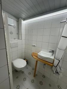 Koupelna v ubytování Samostatný dům se zahradou + 10 fotografií