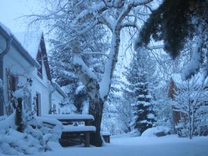 Bozsoki Pihenő during the winter