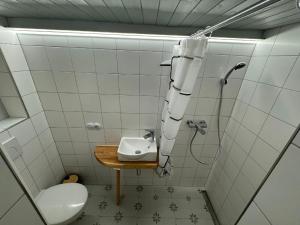 Fotografie z fotogalerie ubytování Samostatný dům se zahradou v destinaci Vyškov