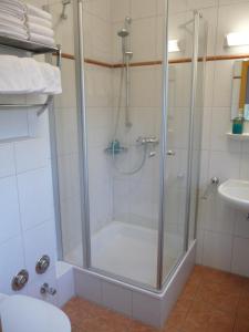 La salle de bains est pourvue d'une douche avec une porte en verre. dans l'établissement Gasthof Ziegelhof, à Eichenwinden