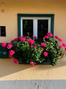 Zahrada ubytování Haus Edler