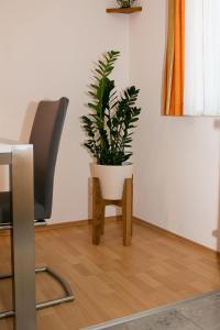 Fotografie z fotogalerie ubytování Haus Edler v destinaci Gleinstätten
