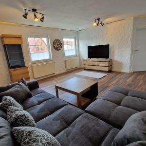 salon z kanapą i telewizorem z płaskim ekranem w obiekcie DM Hotes & Apartments - Apartment Dosborn 2A w mieście Dingelstädt