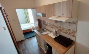una piccola cucina con lavandino e specchio di Hotel Grand a Řevnice