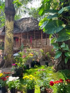 BAVA AC Rooms at Casa de Aadi في فاركَالا: حديقة بها زهور أمام المنزل