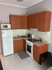 cocina con armarios de madera y nevera blanca en Διαμέρισμα με θέα σε πάρκο!, en Serres