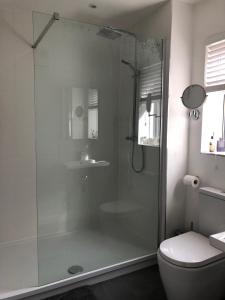a bathroom with a glass shower with a toilet at Spacious self-contained flat - 33AS1 in London
