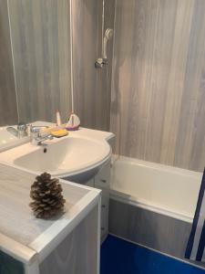 ein Badezimmer mit Waschbecken und Badewanne mit einem Tannenzapfen in der Unterkunft Studio Saint Jean de Monts (Front de mer) in Saint-Jean-de-Monts