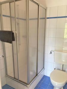 ein Bad mit einer Dusche und einem WC in der Unterkunft Bellaterra B in Locarno