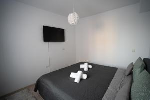 Televisyen dan/atau pusat hiburan di Alex 1 Apartament +4 gambar