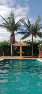 a swimming pool with two palm trees and a shelter at Suites Hidromassagem - Pousada Vale da Serra in Capitólio