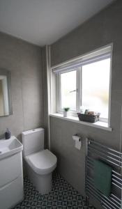 a bathroom with a toilet and a sink and a window at Dundrine Cottage in Maghera