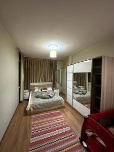 a bedroom with a bed and a large mirror at Sultanahmet Yeşil Apart in Istanbul