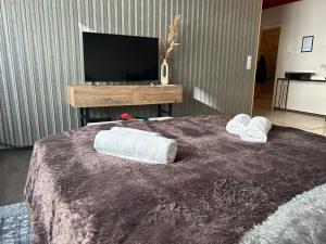een slaapkamer met een bed met 2 kussens en een televisie bij homey Apartments an der Schlachte in Bremen