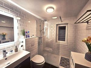 a bathroom with a toilet and a sink and a shower at Badacsonyi rege in Badacsonytördemic +20 photos