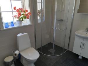 uma casa de banho com um chuveiro, um WC e um lavatório. em Ferienhaus für 5 Personen ca 100 qm in Rensbyn, Mittelschweden See Runn em Falun
