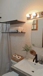 a bathroom with a toilet and a sink and a mirror at La Maison d' Ivonne in Antón