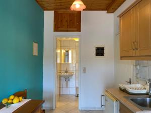 Kuchyň nebo kuchyňský kout v ubytování Albatros rooms