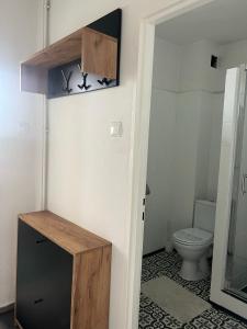 a bathroom with a toilet and a sink in a room at Gościniec in Myszęcin