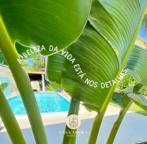 a plant with a large green leaf next to a pool at Casa Amora em Imbassaí in Mata de Sao Joao