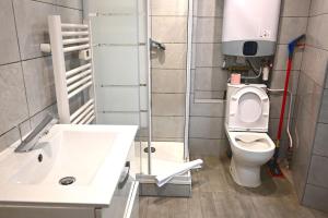 La salle de bains est pourvue d'un lavabo et de toilettes. dans l'établissement Studio/2 voyageurs/10mn CDG, à Villeneuve-sous-Dammartin