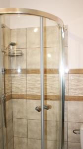a shower with a glass door in a bathroom at Domek Pod Różą in Krasnobród