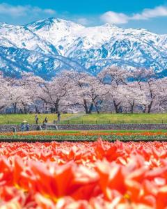 a field of flowers with mountains in the background at Platina Luxe House in Toyama
