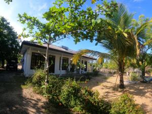 a house with a palm tree in front of it at DEEP SEA RESORT PADI DIVE CENTER in Batticaloa