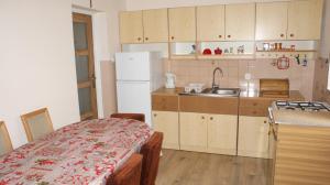 a small kitchen with a sink and a refrigerator at Domek Pod Różą in Krasnobród