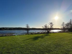 un campo de hierba con el sol en el fondo en Dilham Hall Retreats, en Dilham