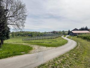 a road in a field with at Ferienwohnung Lang in Kressbronn am Bodensee