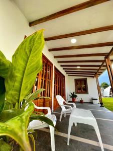 a porch with white chairs and a plant at Eco Cabañas Montana in Santa Helena