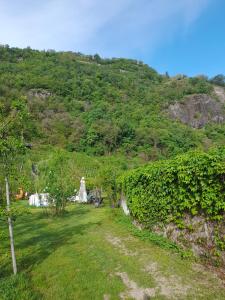 um campo de relva com uma montanha ao fundo em Matscherhof Lana em Lana