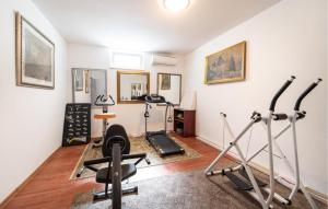 Γυμναστήριο ή/και όργανα γυμναστικής στο 3 Bedroom Lovely Apartment In Sukosan