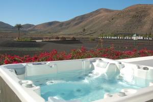 a jacuzzi tub with pink flowers and mountains at Room with breakfast included, balcony, WiFi, pool in Yaiza in Yaiza