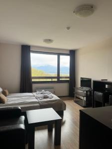 ein Schlafzimmer mit einem Bett und einem großen Fenster in der Unterkunft Alpine Lodge Bansko Apartments in Bansko