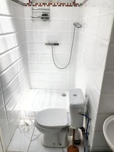 y baño blanco con aseo y ducha. en Maison d'une chambre avec jardin clos et wifi a Avignon, en Aviñón