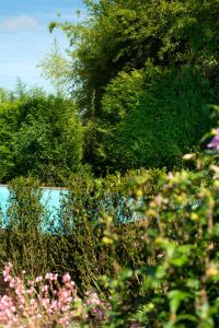 un campo de flores con árboles y un cuerpo de agua en A Quinta Da Auga Hotel Spa Relais & Chateaux en Santiago de Compostela