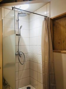 a shower with a shower curtain in a bathroom at L'AUBERGE DES PYRENEES in La Barthe-de-Neste