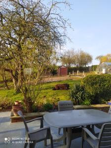 a table and chairs and a cow laying in the grass at Au fil des champs in Berzée +5 photos