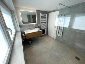 a bathroom with a sink and a shower with a mirror at Ferienwohnung "Vita e Vino" in Freinsheim