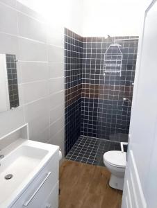 łazienka z toaletą i umywalką w obiekcie Appartement de 2 chambres avec jardin clos et wifi a Chateaudun w mieście Châteaudun