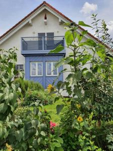 una casa con una puerta azul y algunas plantas en Gästewohnung Elbblick Kreinitz en Zeithain